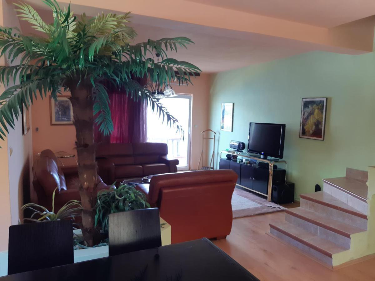 Villa Garden Apartments แฮร์เซ็ก-โนวี ภายนอก รูปภาพ