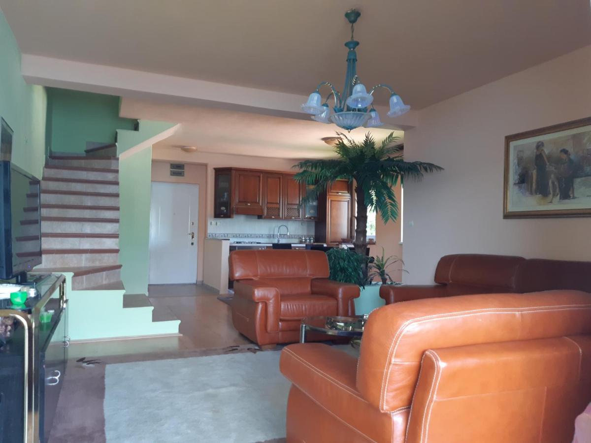 Villa Garden Apartments แฮร์เซ็ก-โนวี ภายนอก รูปภาพ