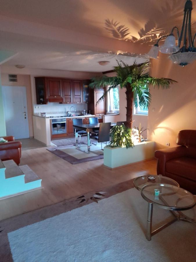 Villa Garden Apartments แฮร์เซ็ก-โนวี ภายนอก รูปภาพ